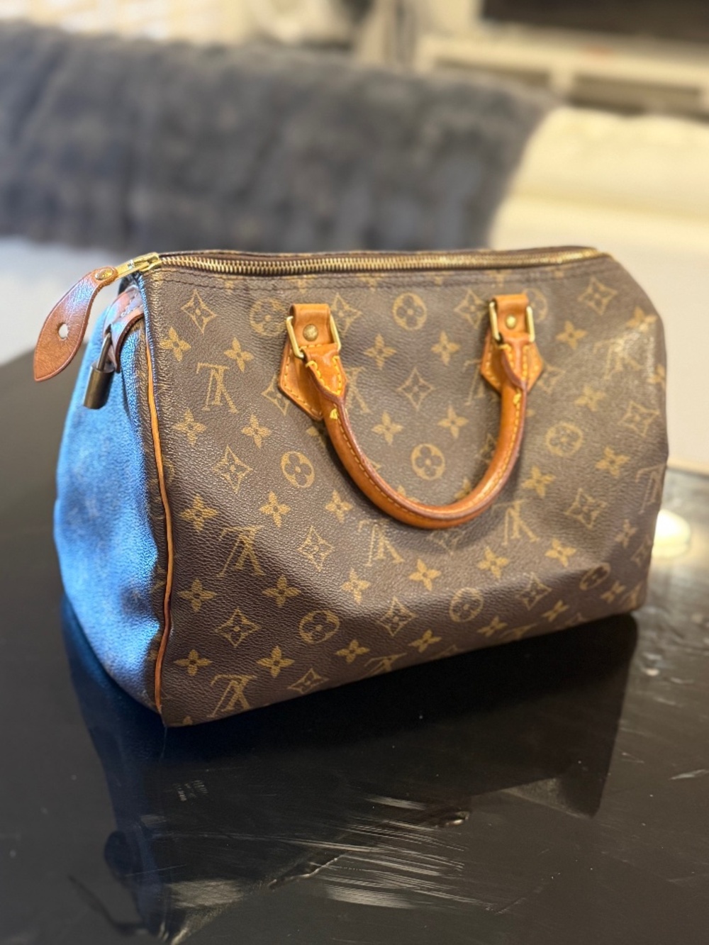 Louis Vuitton speedy 30